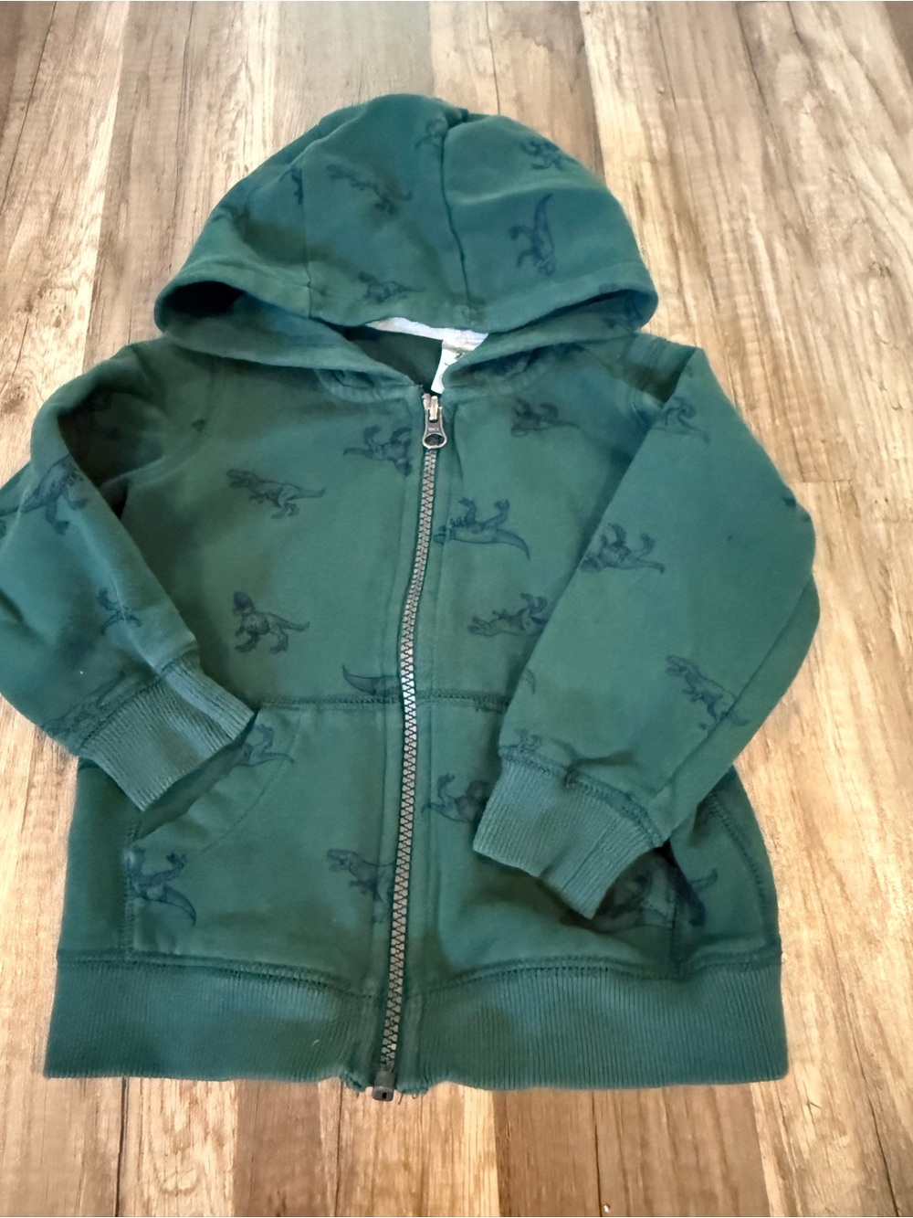 Carter's Forest Green Dinosaur Zip-Up Hoodie